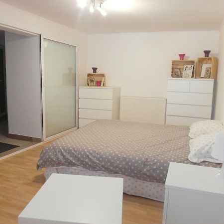 Studio Moliere Apartment Brasov Exterior photo