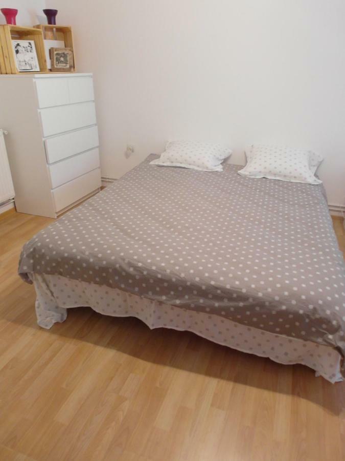 Studio Moliere Apartment Brasov Exterior photo