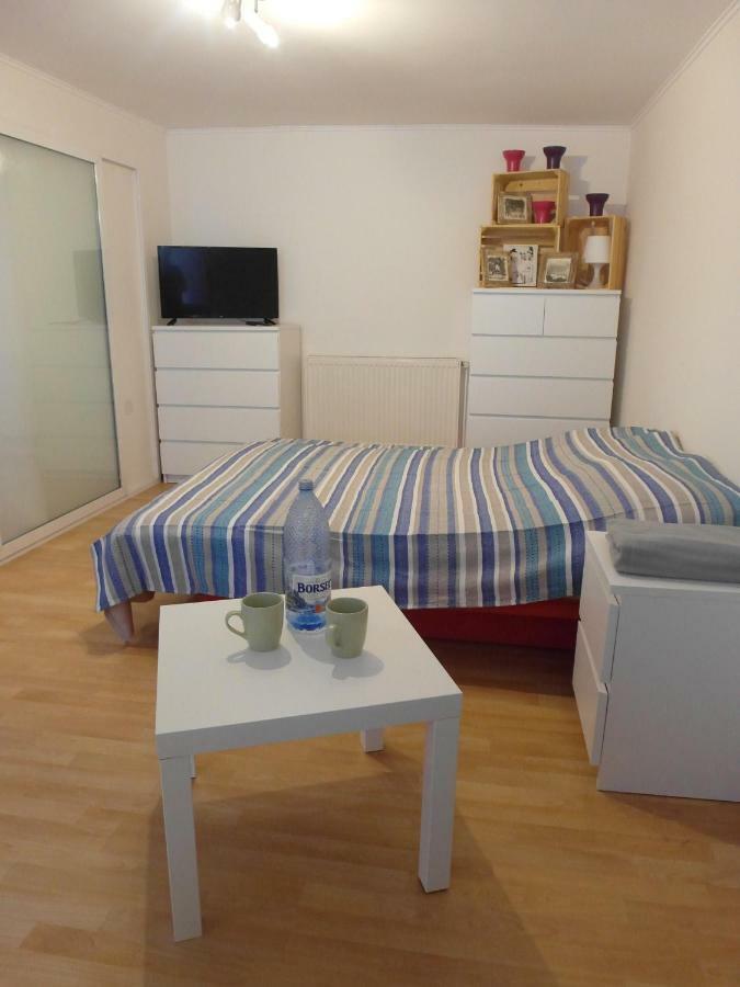 Studio Moliere Apartment Brasov Exterior photo