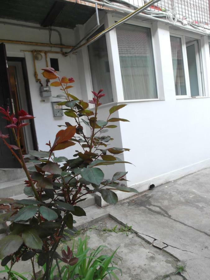 Studio Moliere Apartment Brasov Exterior photo